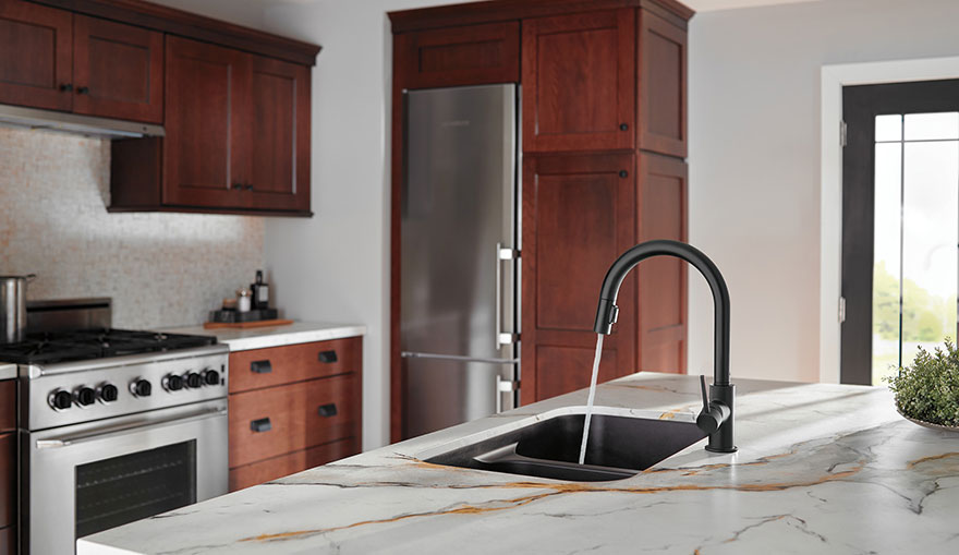 Delta Trinsic Collection Matte Black Single Handle Pull-Out Kitchen Faucet