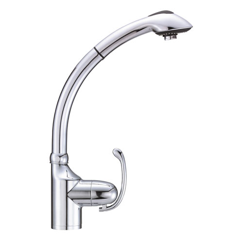 Danze Anu Chrome Single Handle 1 Hole Pull-Out Spray Kitchen Faucet